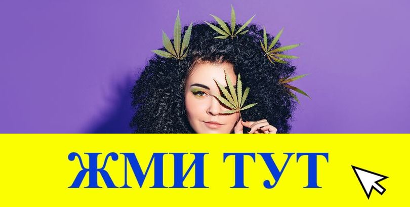 Купить наркотики в Майкопе